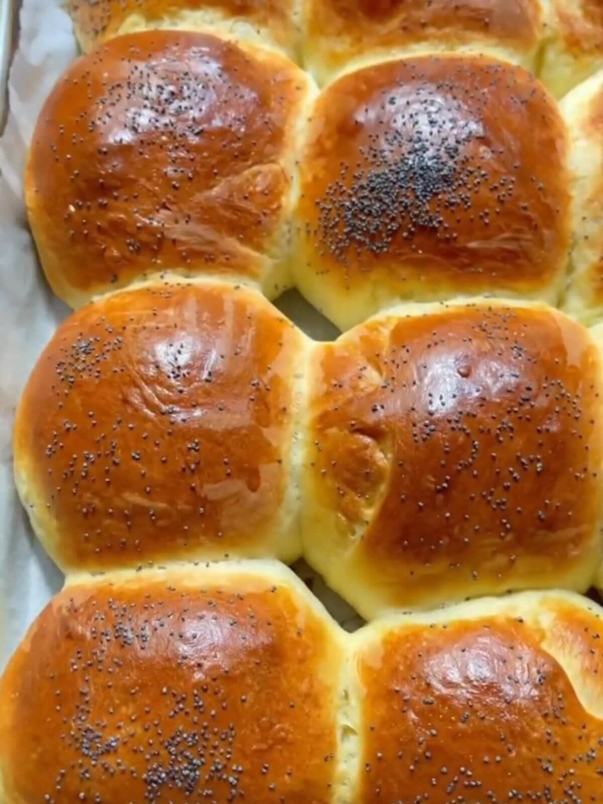 Freshly baked soft buns, golden brown and fluffy i a baking pan. 