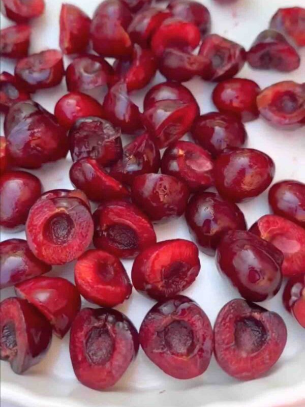 Spread the pitted cherries evenly over the bottom of the dish.