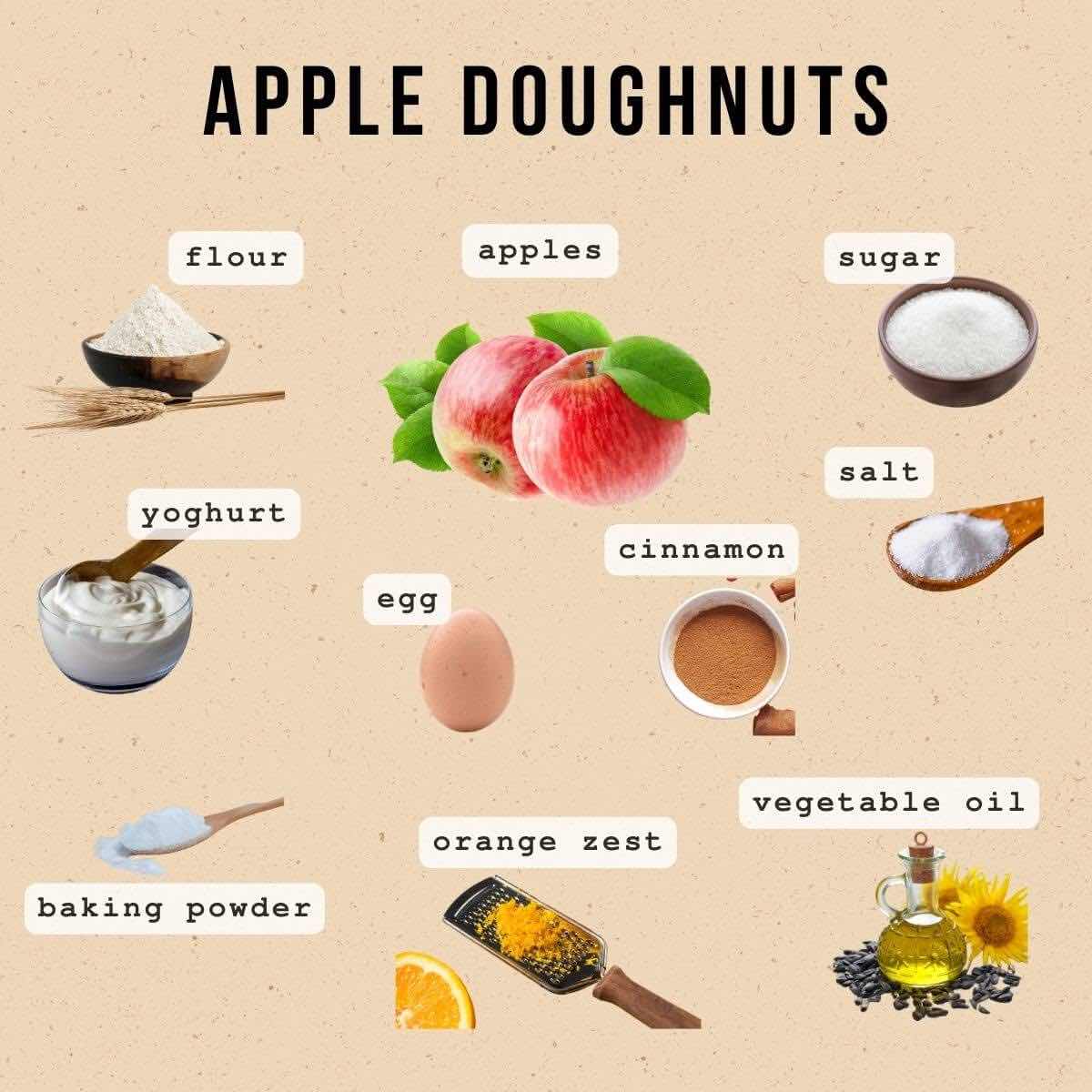 A collection of ingredients for apple doughnuts, including an egg, salt, sugar, yogurt, grated orange zest, vegetable oil, apples, all-purpose flour, baking powder, oil for frying, and cinnamon sugar for garnish.