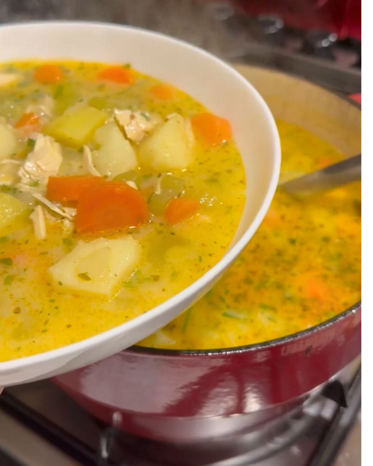 A white shallow ceramic bowl being filled with hearty chicken soup, containing sautéed potatoes, carrots, onions, celery sticks, and rice, with the "Terbive" egg mix and parsley garnish.