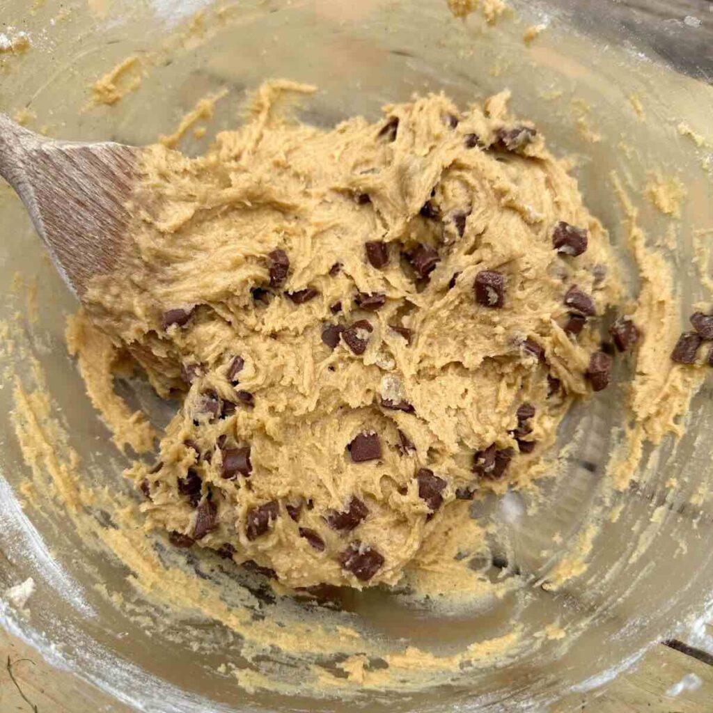 A mixing bowl containing a smooth batter made from melted butter, light brown sugar, granulated sugar, vanilla extract, a large egg, all-purpose flour, baking soda, baking powder, kosher salt, and semisweet chocolate chips, ready for baking chocolate chip cookies.