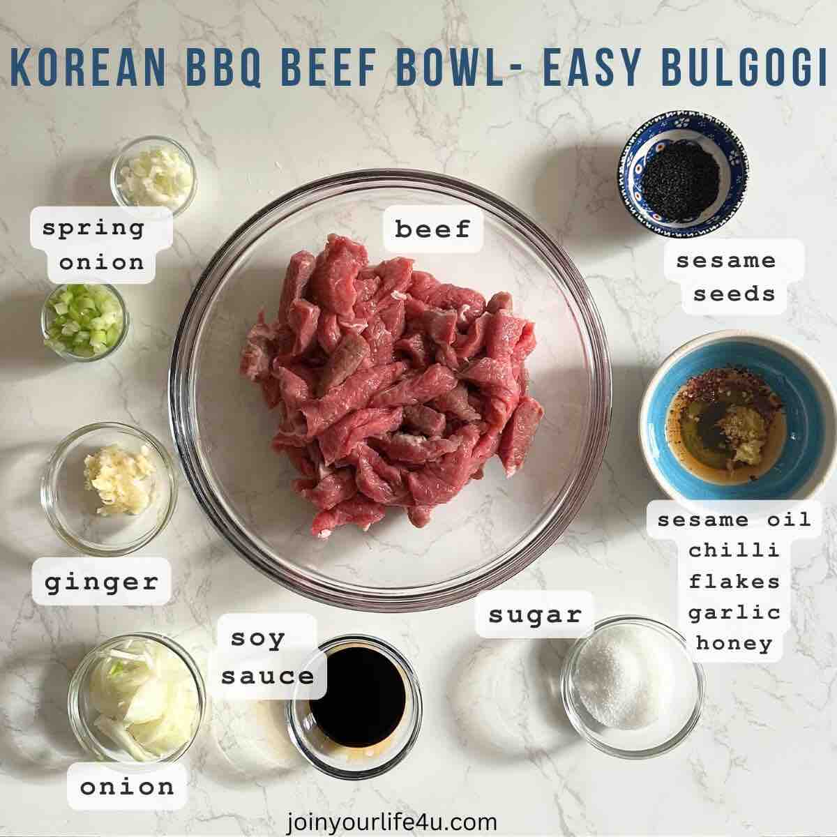 Ingredients to make Korean BBQ Beef Bowl (Easy Bulgogi)